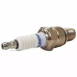 Vela de ignição ACDelco 19347345