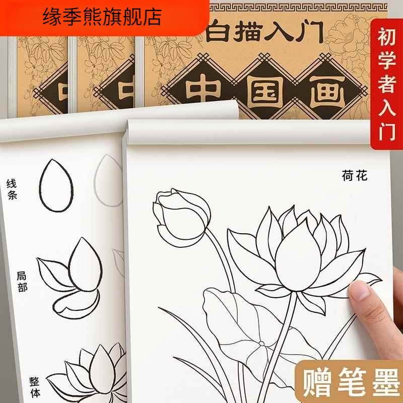 Desenho de linha de pintura chinesa Pincel meticuloso Desenho Desenho Flor Pássaro Conjunto para inician