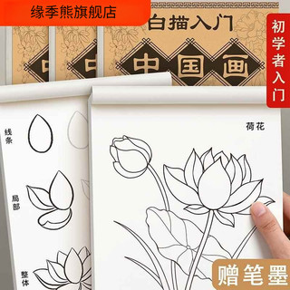 Desenho de linha de pintura chinesa Pincel meticuloso Desenho Desenho Flor Pássaro Conjunto para inician
