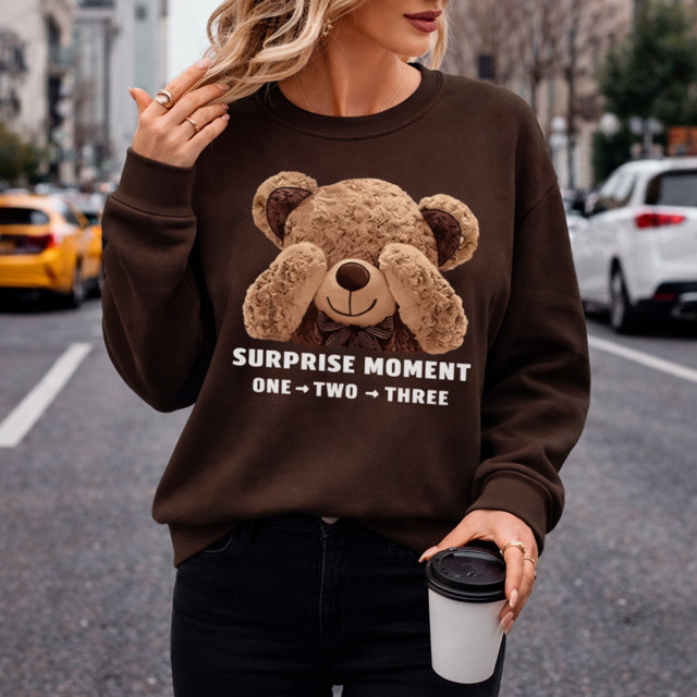 MOLETOM FEMININO BLUSA DE FRIO ESTILO SUÉTER CASACO FLANELADO 100% ALGODÃO URSINHO FOFO VÁRIAS CORES LANÇAMENTO