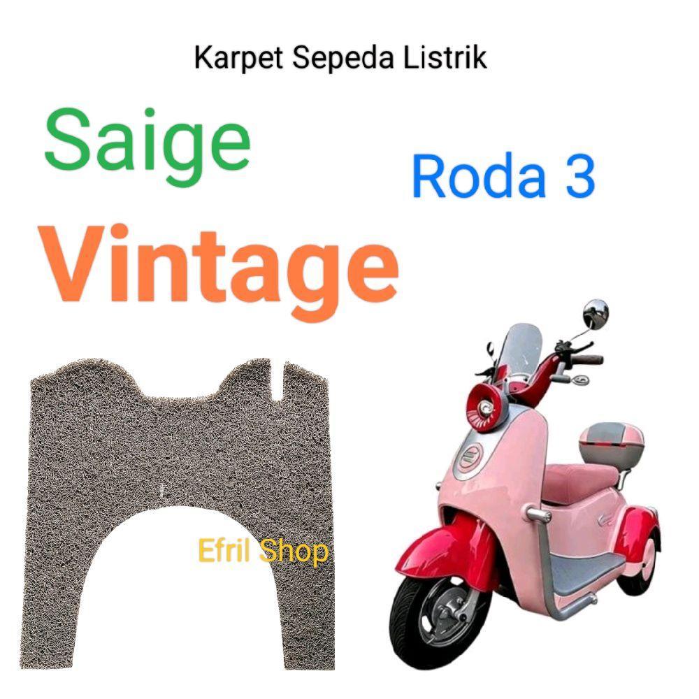 Tapete De Bicicleta Elétrica Vintage De Três Rodas Saige