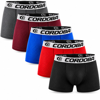 Cuecas Boxer Kit 10 Unidades Dry Fit Premium
