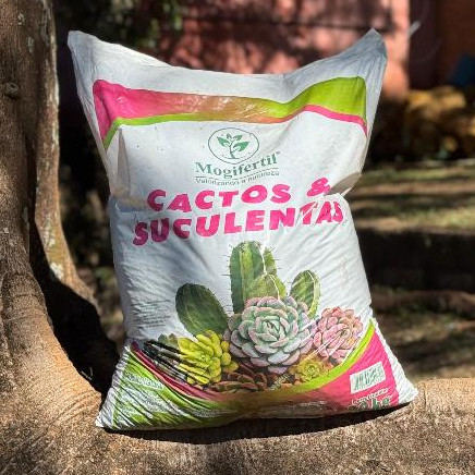 Substrato Cactos e Suculentas 20kg Mogifertil Terra Vegetal Natural Pronta Uso Jardim Vaso Plantas em Oferta na Shopee