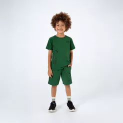Conjunto Curto Infantil Menino Tigor T. Tigre