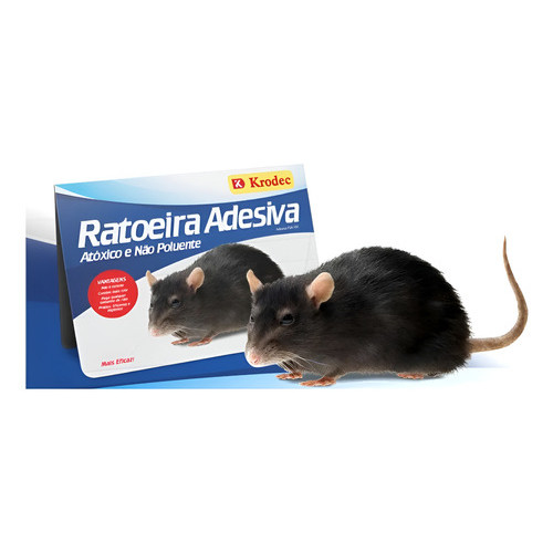 O que é Ratoeira Adesiva Mata Rato? Guia e Onde Comprar | BuscaProdutos