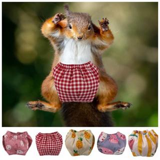 Fraldas De Esquilo  , Calças De Treinamento Para Animais De Estimação Com Fecho Flexível Absorvente , Pequenas L