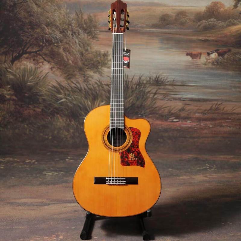 Juliet guitarra Cross-Border Jet R950 completa única guitarra elétrica caso corda de náilon guitarra clássica