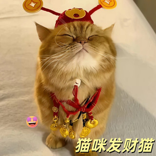Chapéu de Deus da Riqueza do Gato [Adorar Gato Deus da Riqueza] Gato Deus da Riqueza Chapéu Gato da Sorte Roupas para An