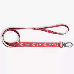 Guia ZC Pets A Dama e o Vagabundo - Disney