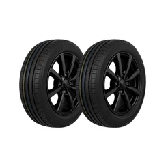 KIT 2 PNEUS ARO 15 205/65R15 ROADKING ARGOS HP 94V TL HT