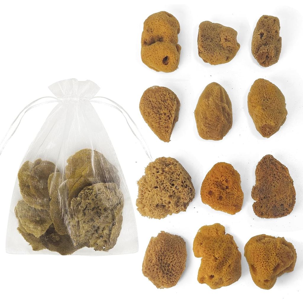 Esponjas Naturais e Sintéticas - Tamanhos Variados, Pacote Econômico de 12 Peças para Artesanato e Artistas: Material de