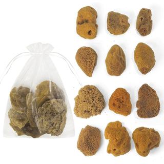 Esponjas Naturais e Sintéticas - Tamanhos Variados, Pacote Econômico de 12 Peças para Artesanato e Artistas: Material de