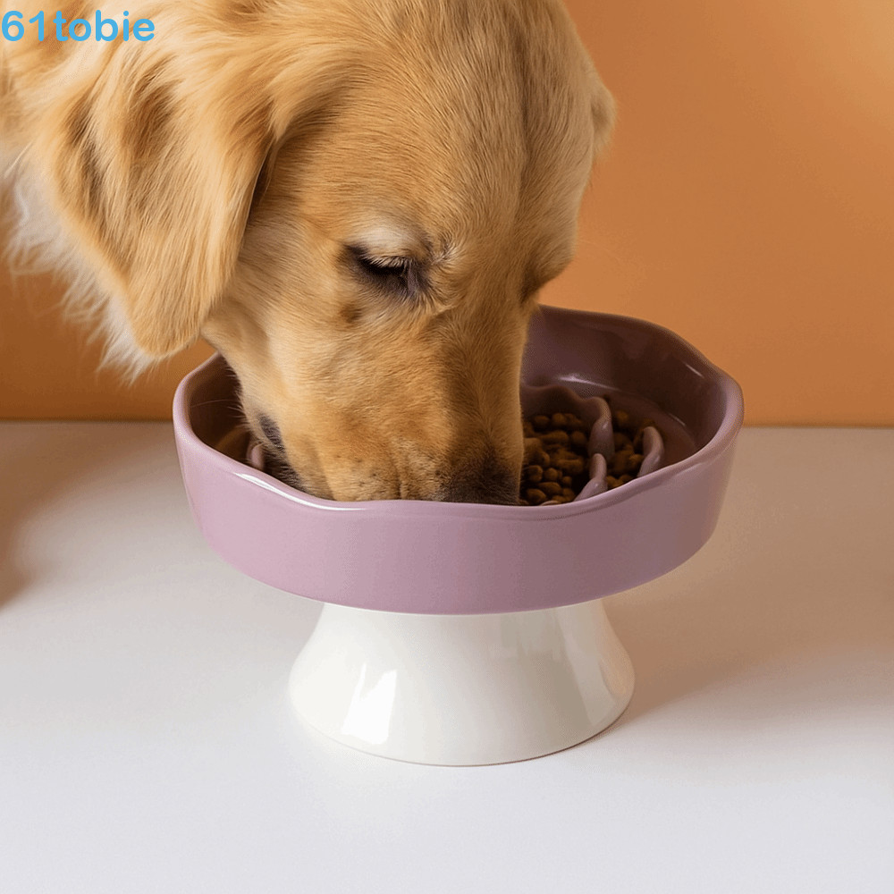 Tigela De Pé Alto Para Animais De Estimação TOBIE , Fofa De Comida Lenta Gato Anti-Tombamento , Alimentador De Bebida An