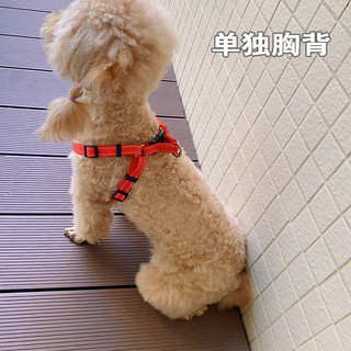 Coleira para cães, tipo colete, corrente para cães, coleira para caminhada, pequeno, Teddy, Bichon, à prova de quebra, s