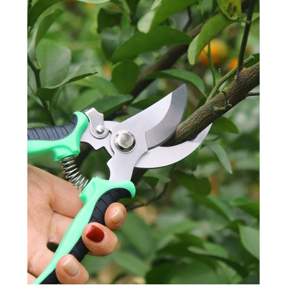 Tesoura de Poda Tesoura Super Afiada para Jardinagem Jardim Floricultura Carpei em Oferta na Shopee