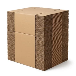 Kit 100 Caixas Papelão Resistente 24X15X10 Envios Ecommerce Flat Pac correios
