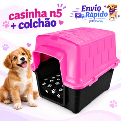 Casinha Para Cachorro Com Caminha Casa Para Cães Médio Porte Casnha Premium Com Almofada Colchão N5
