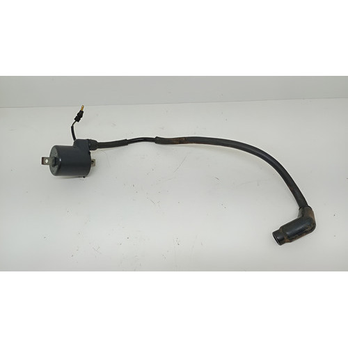 Bobina De Ignição Honda Biz 125 Ks 2006 Original