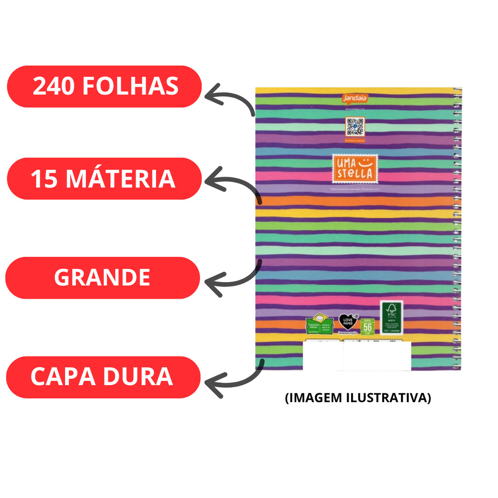 Kit 02 Cadernos Universitário 15 Matérias 240 Folhas Stella - Jandaia · foto 2