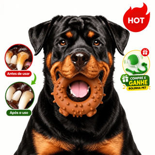 Brinquedo Mordedor Cães Grandes Limpeza Dental + Bola Elétrica Grátis