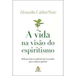 A vida na visão do espiritismo