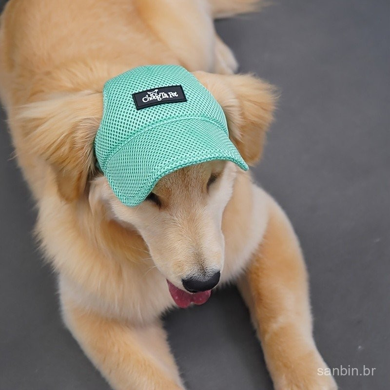 Boné De Beisebol Respirável Para Cães Com Furos As Orelhas-Chapéu Legal Animais De Estimação De Verão Golden Retrievers