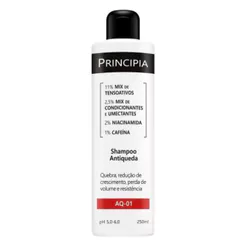 Shampoo Principia Antiqueda AQ 01 250ml