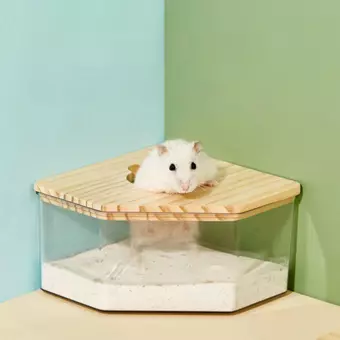 SUNDANCE Hamster Bacia De Areia De Urina , Banheiro Acrílico Transparente Rectângulo De Banho Com Tampa Caixa Home