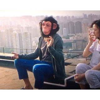 Passando por todo o seu mundo cos Ape Chapelaria Deng Chao Monkey Máscara Animal Venda Bonito Horror Halloween