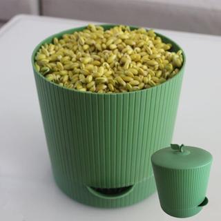 Tanque de broto de feijão verde à moda antiga, broto de feijão verde, cesta especial, pote Premium, máquina de broto de 
