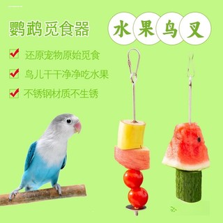 Garfo de frutas de aço inoxidável para papagaio, garfo de frutas para pássaros, vara de frutas, papagaio, alimentação de