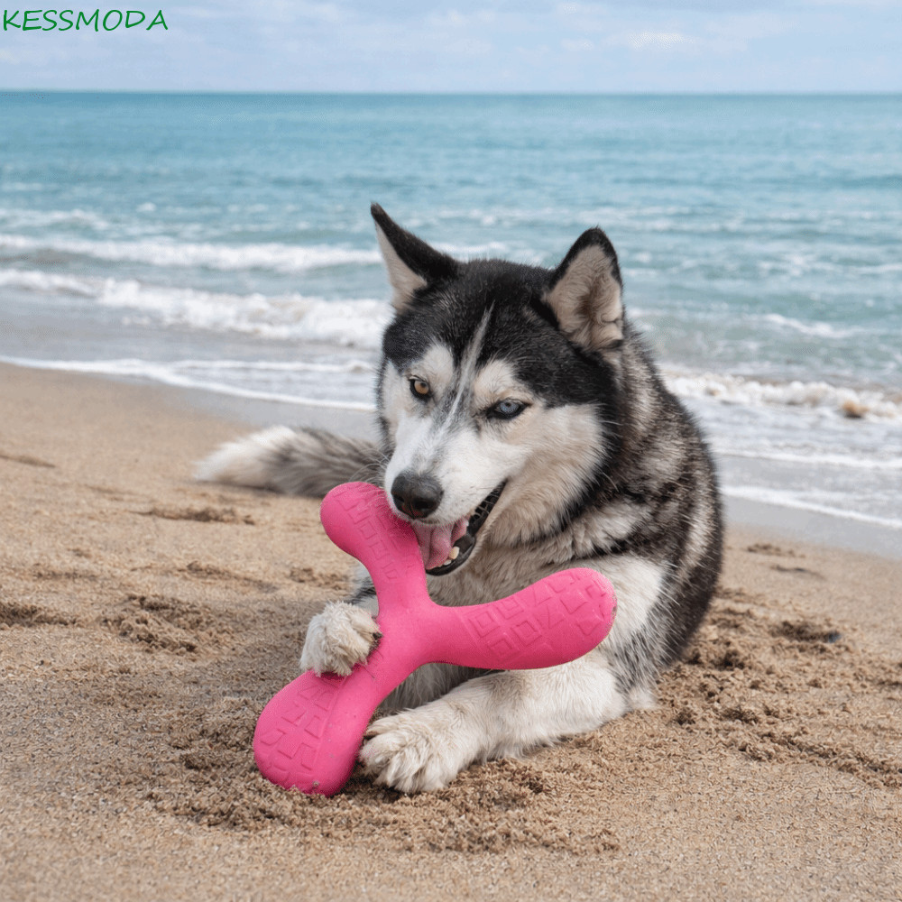 Brinquedos De Disco Voador , Interativo Flutuante Resistente Ao Desgaste Para Animais De Estimação , Brinquedo De Treina