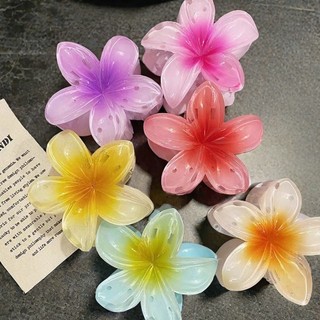 Dopamina Frangipani Grab clip volta cabeça placa de cabelo tubarão clipe estilo fada artesanal Hairpin feminino Headwear