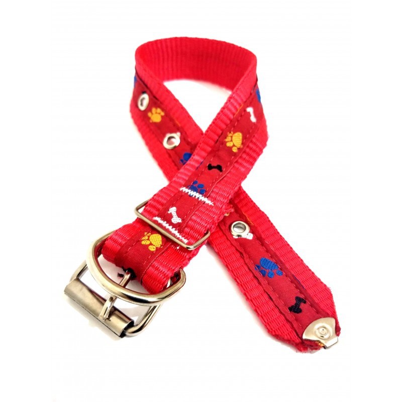 Coleira Para Cães Osso Patinha D&G Cores Sortidas Tam. M em Oferta na Shopee