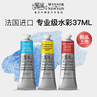 Winsor Newton Artist Aquarela Paint 37ml França Importado Aquarela Profissional Arte Quente 24 Cores Monocromático Winso