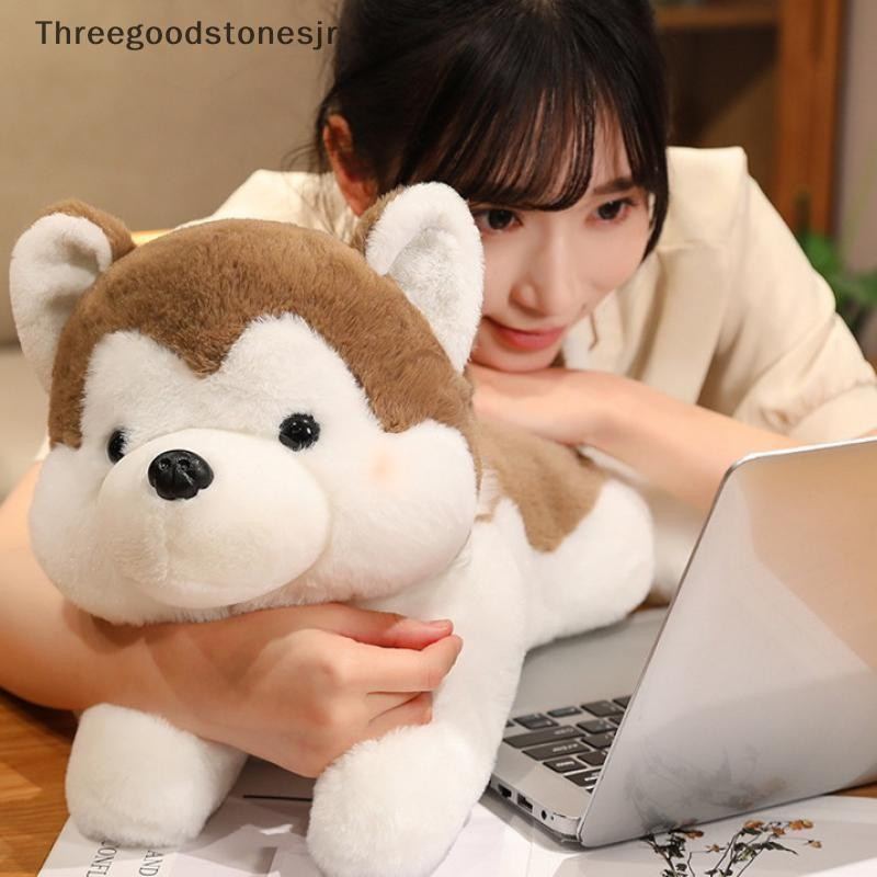 TGS 1 peça 30/40 cm brinquedo de pelúcia macio de animal de estimação deitado, cachorrinho husky fofo marrom C KIHQ