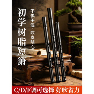 Dongxiao flauta curta instrumento Musical iniciante introdutório 6 buracos CDF Tuning profissional-Grade Premium resina 