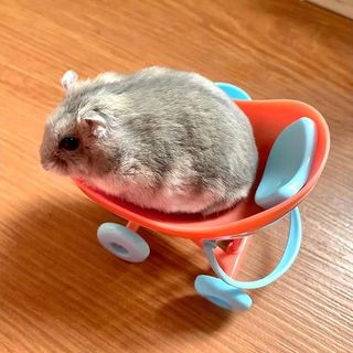 Assento de hamster urso dourado anão hamster mesa de jantar cadeira brinquedo carrinho hamster brinquedo do bebê pequena