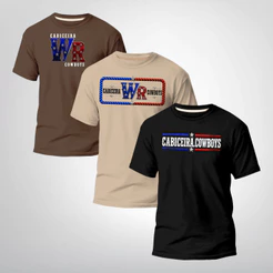 Camiseta Kit 3 Camisas Masculina Variaveis trio Boi, Cabiceira Cowboys WR Rodeio countrytexasfarmxc