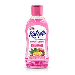 Kalipto Concentrado MANGA E CEREJA 120ML