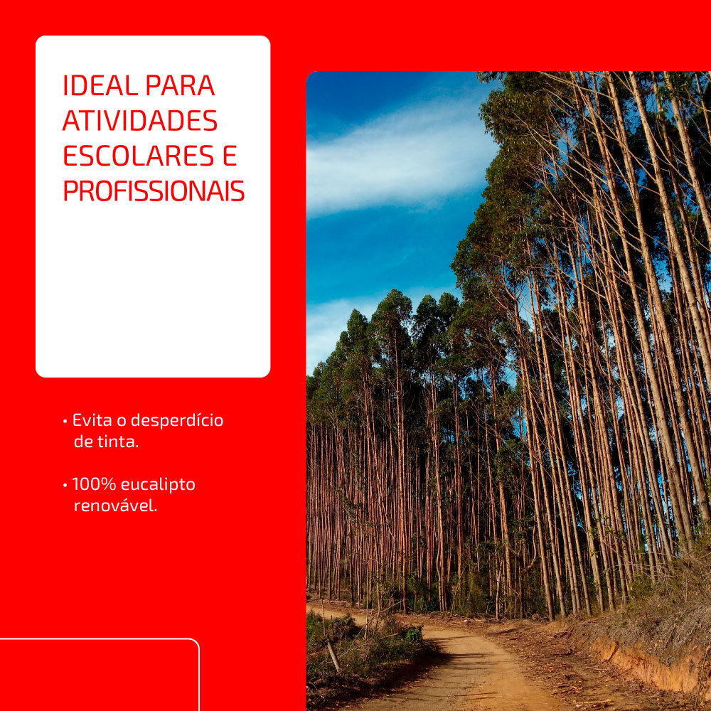 Papel sulfite A4 75g 210x297 com 500 folhas Chamex — imagem 2 de 2