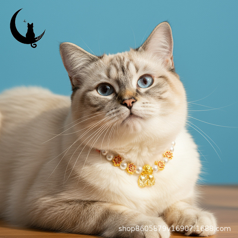 Animal de estimação estilo chinês ano novo única camada pérola colar pingente princesa gato colar gato cão pérola colar