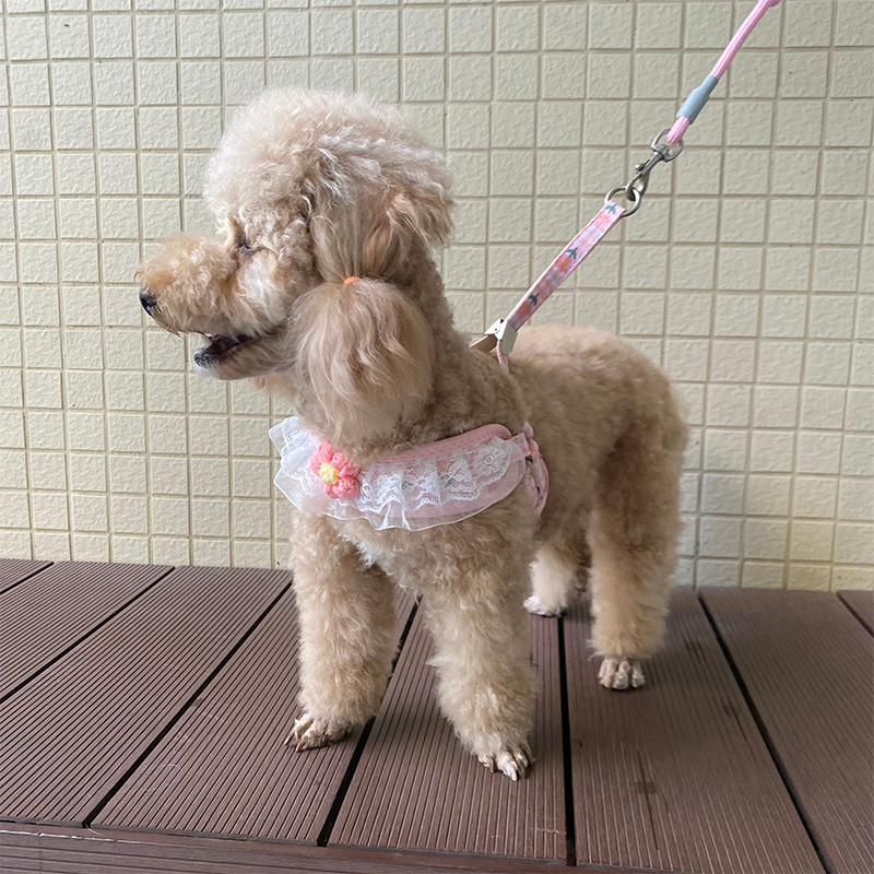 Trela de cachorro novo estilo renda em forma de I trela de renda pequeno cão Teddy Bichon Outing trela de cachorro