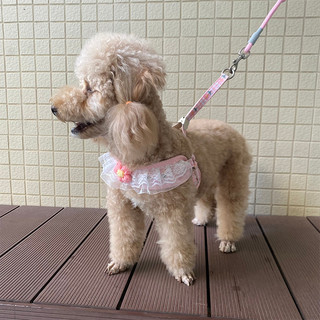 Trela de cachorro novo estilo renda em forma de I trela de renda pequeno cão Teddy Bichon Outing trela de cachorro
