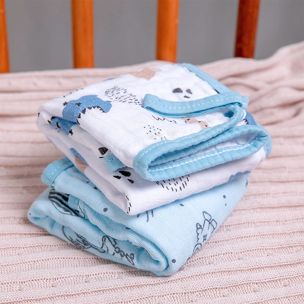 Pano De Boca Bebê Soft 40x40cm C/Prendedor De Chupeta Papi Jurassic c/2 unidades