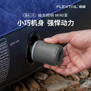 FLEXTAIL Fishtail bomba de ar acampamento ao ar livre colchão portátil bomba elétrica carregamento dupla utilização ilum