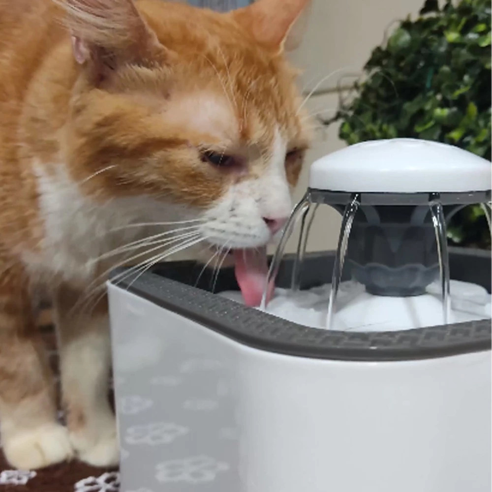 Fonte de Água Pet com Filtro - 2,5L para Gatos e Cachorros