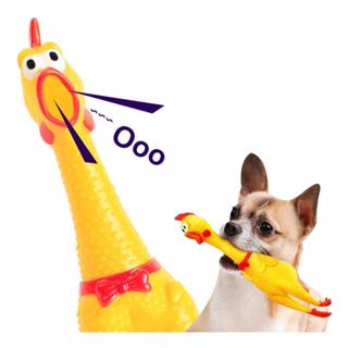 Brinquedo Mordedor Galinha 30cm Para Pets em Oferta na Shopee