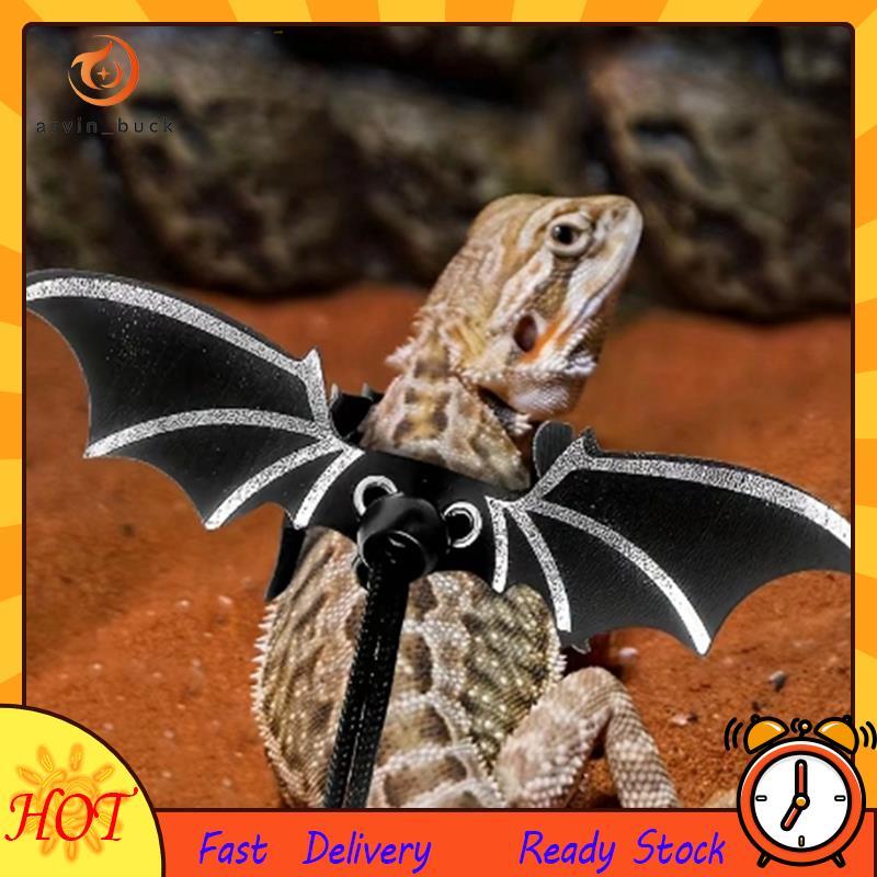 Conjunto De Trela De Arnês De Lagarto , Peito De Asa De Couro Para Animais De Estimação De Escalada , Corda De Tração De