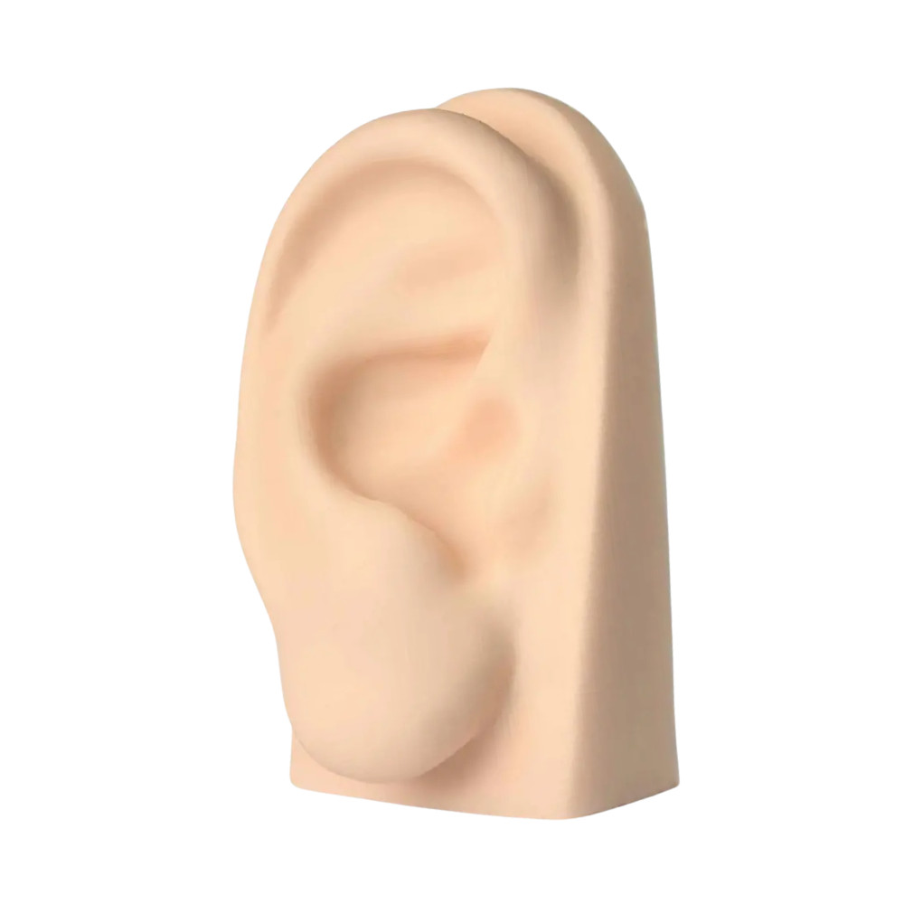 Orelha De Silicone Para Acupuntura Auricular Auriculoterapia